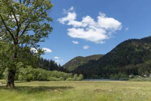 Paysage lac de Retournemer, Vosges