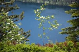 Vue sur lac de Longemer; Vosges Xonrupt