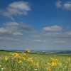 2009-06-24_paysage_001